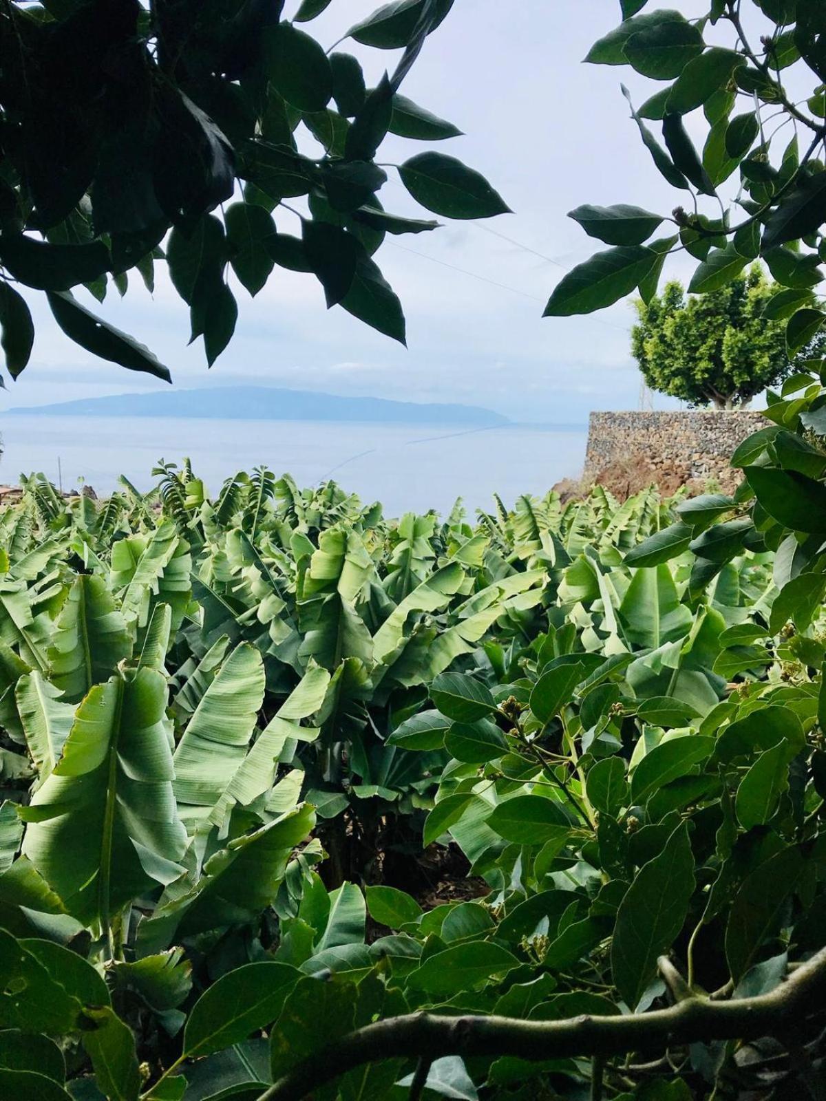 Fincaecoamaro Puerto de Santiago  Ngoại thất bức ảnh